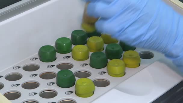 科学者は 実験室での研究を行っています Biotechnologies Close — ストック動画