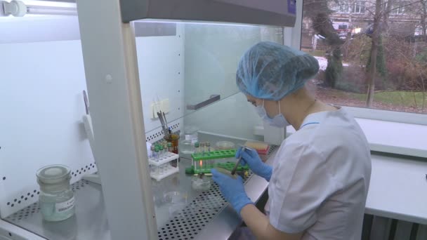 Женщина-ученый проводит исследования с помощью микропипетки в лаборатории. Биотехнологии . — стоковое видео