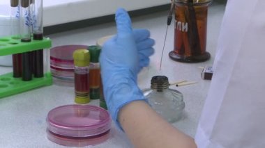 Bilim adamı laboratuvarda araştırma yapıyor..