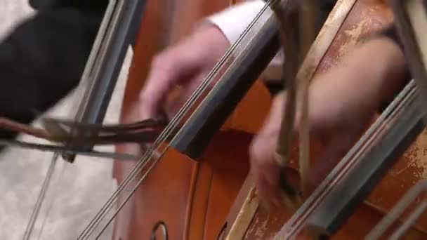 Simfoni orkestra cello bermain. Tutup. . — Stok Video