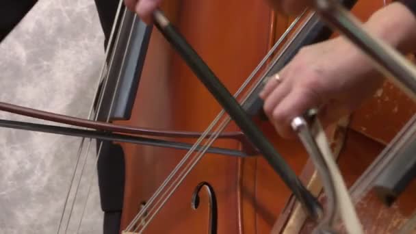 Wiolonczela gra Orkiestra Symfoniczna. Z bliska. — Wideo stockowe