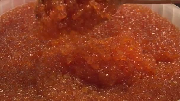 Caviar rojo. Primer plano de la ROE de salmón, revolviendo con una cuchara. Delicatessen. Mariscos . — Vídeo de stock