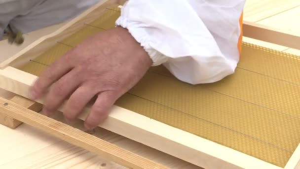 To make a hive for bees. Honeycomb with honey cells. — Stock Video