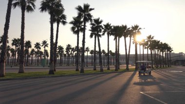 Gün batımında, güzel mavi gökyüzü palmiye ağaçları. 