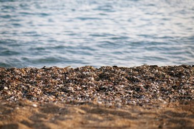 Arka planda çakıl taşı plajı ve mavi gökyüzü