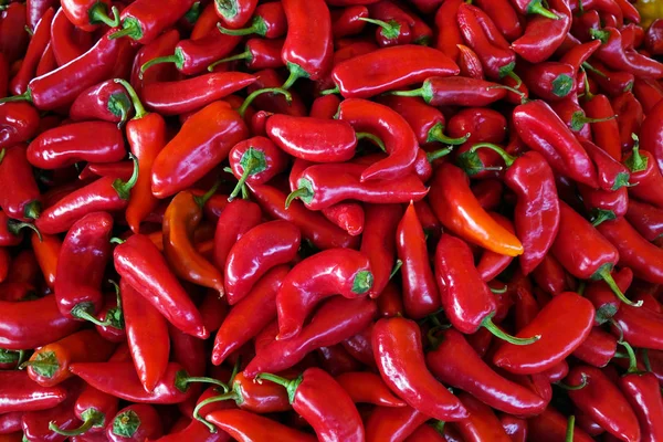 Peperoncino rosso sfondo texture peperoncino piccante condimento piatto di fuoco in vendita . — Foto Stock