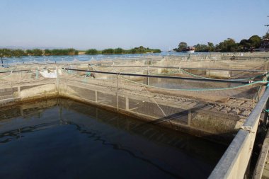 Nehri üzerinde balık çiftliği .