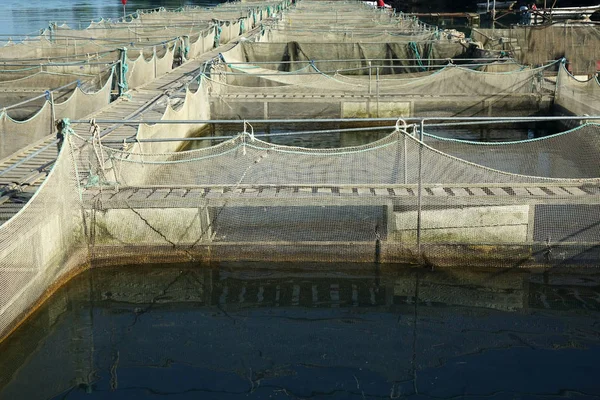 Nehri üzerinde balık çiftliği .