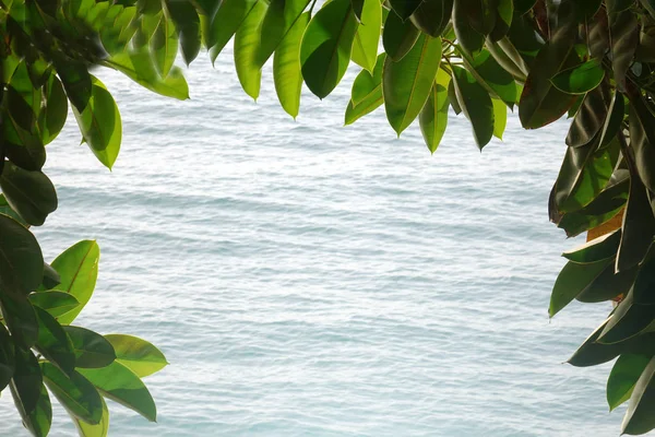 Deniz arka plan üzerinde yeşil yaprak çerçeve. Fotoğraf etrafında yeşil yaprakların doğal çerçeve.