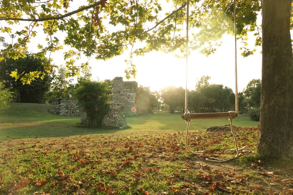 An empty wooden swing is hung on a rope on a large live oak branch . Calm relaxing beautiful view .