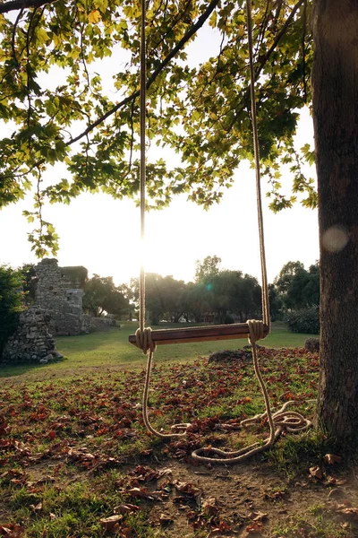 Eine leere Holzschaukel wird an einem Seil an einem großen lebenden Eichenzweig aufgehängt. Ruhe entspannend schöne Aussicht . — Stockfoto