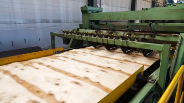 Kontrplak üretimi için dükkanı. İş ahşap işleme. Ahşap işleme sanayi