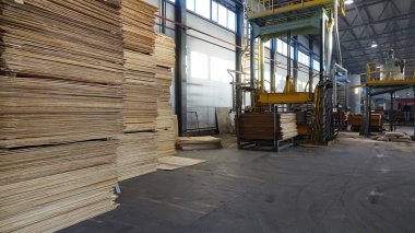 Kontrplak üretimi için dükkanı. İş ahşap işleme. Ahşap işleme sanayi
