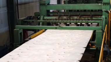Kontrplak üretimi için dükkanı. İş ahşap işleme. Ahşap işleme sanayi