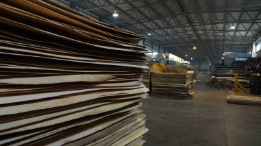 Kontrplak üretimi için dükkanı. İş ahşap işleme. Ahşap işleme sanayi