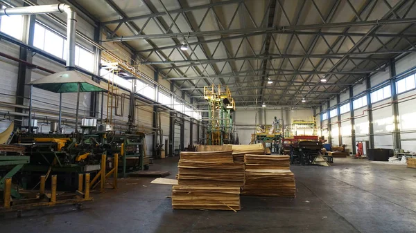 Tienda Para Producción Madera Contrachapada Procesamiento Madera Negocios Industria Maderera — Foto de Stock