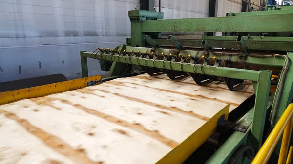 Kontrplak üretimi için dükkanı. İş ahşap işleme. Ahşap işleme sanayi