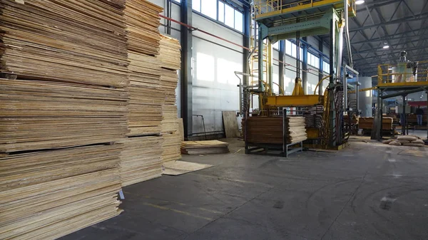 Shop Production Plywood Processing Business Wood Woodworking Industry — Stock Photo, Image