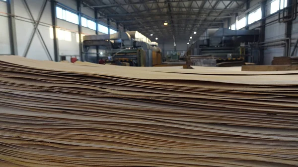 Loja Para Produção Contraplacado Processamento Madeira Negócios Indústria Madeireira — Fotografia de Stock