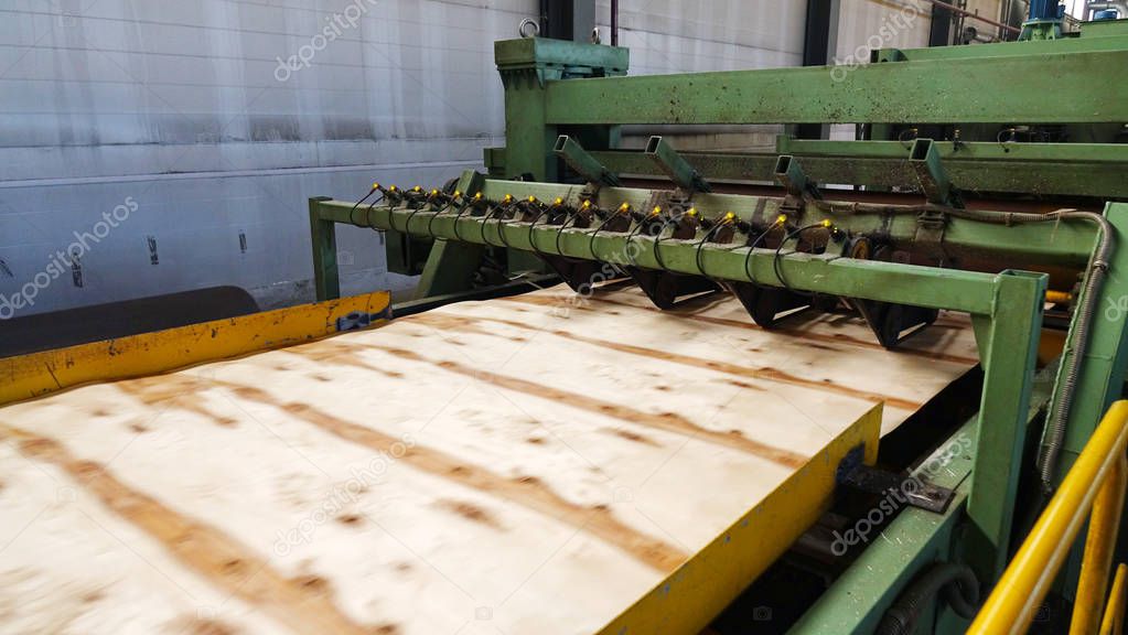 Shop for the production of plywood. Processing of business wood. Woodworking industry