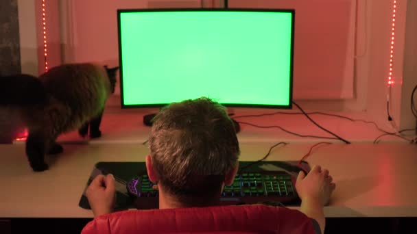 Ένας άνδρας στο σπίτι το γραφείο του, μπροστά από μια οθόνη υπολογιστή πράσινο. Οικόσιτης γάτας με τα πόδια πάνω στο τραπέζι. — Αρχείο Βίντεο