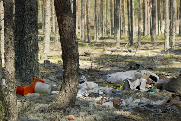Basura en un bosque de pinos. Contaminación ambiental . — Foto de Stock