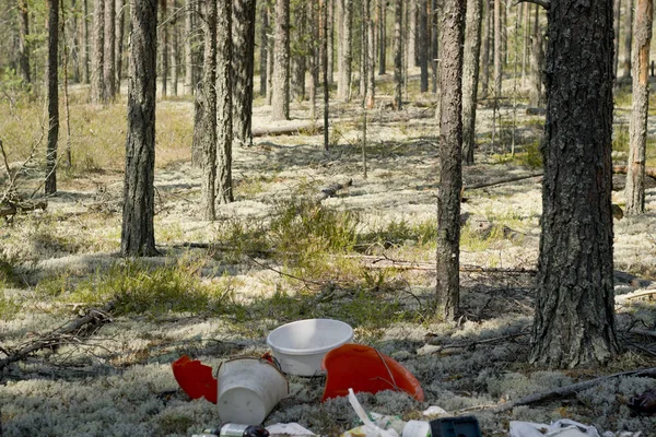 소나무 숲에서에 쓰레기 덤프 환경 오염. — 스톡 사진