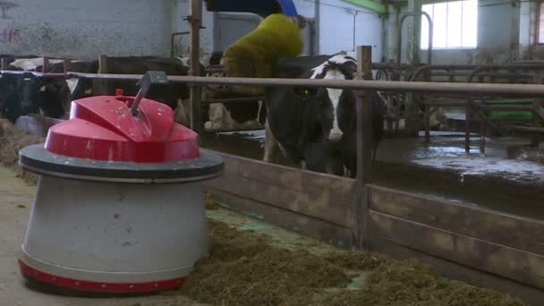 Le concept de robot intelligent dans l'agriculture robots agriculteurs sont programmés pour travailler dans les locaux de la ferme pour l'alimentation des animaux. Automatisation dans l'agriculture .