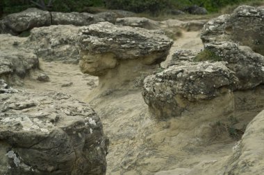 Doğa tarafından oluşturulan dağlar. Kuzey Kafkasya Mountain Park.