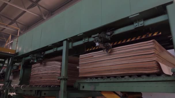 Loja para a produção de contraplacado. Processamento de madeira de negócios. Indústria madeireira — Vídeo de Stock