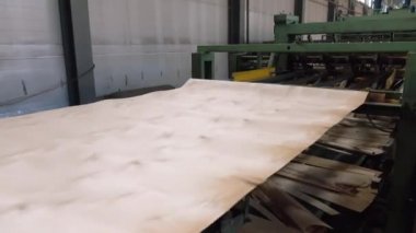 Kontrplak üretimi için dükkanı. İş ahşap işleme. Ahşap işleme sanayi