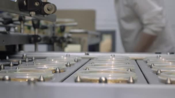 Виробництво сметани. Промислова машина наливає сметану в порожні банки на сучасному виробничому заводі — стокове відео