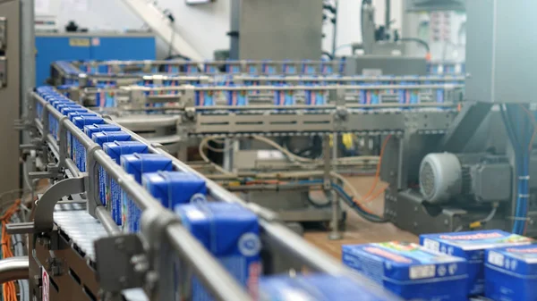 Mandıra fabrikasında konveyör hattı. otomatik üretim hattı