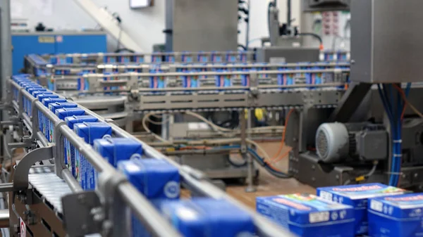 Mandıra fabrikasında konveyör hattı. otomatik üretim hattı