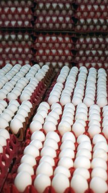 Kümes hayvanı çiftliğinde tavuk yumurtası. çiftlik, sanayi.