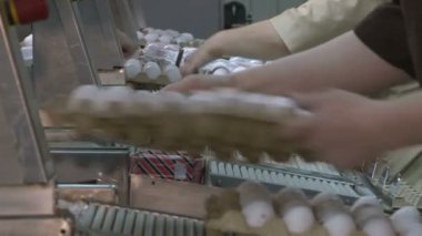 Kümes hayvanı çiftliğinde tavuk yumurtası. çiftlik, sanayi.