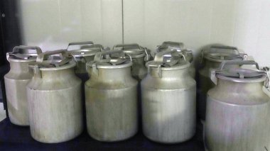 Süt kantazları. Süt çiftliğinde eski alüminyum süt kantları.