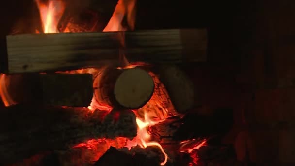 Traditional Russian oven, cooking on wood. — Stock Video