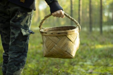 Çam ormanında sepetli mantar toplayıcısı.