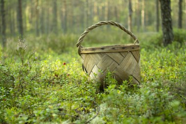 Mantar ve çilek toplamak için Sepet.