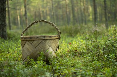 Mantar ve çilek toplamak için Sepet.