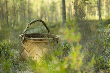 Mantar ve çilek toplamak için Sepet.