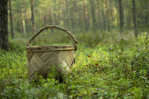 Mantar ve çilek toplamak için Sepet.