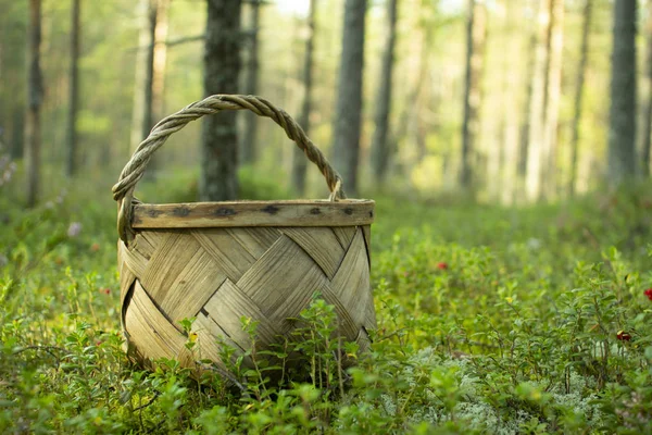 Mantar ve çilek toplamak için Sepet.