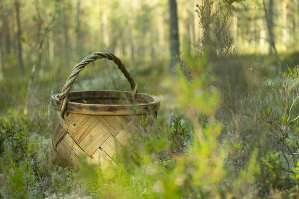 Mantar ve çilek toplamak için Sepet.