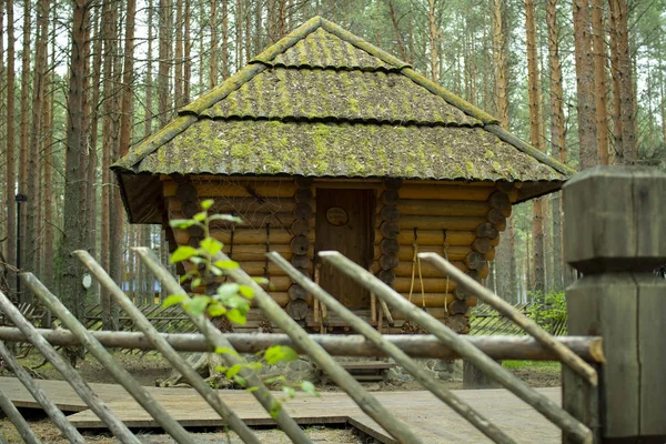 A small wooden house in the forest. — Stock Photo, Image