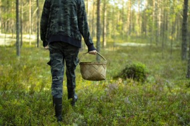 Çam ormanında sepetli mantar toplayıcısı.