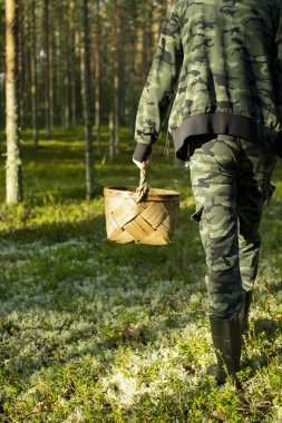 Çam ormanında sepetli mantar toplayıcısı.