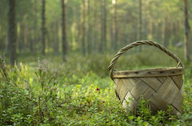 Mantar ve çilek toplamak için Sepet.