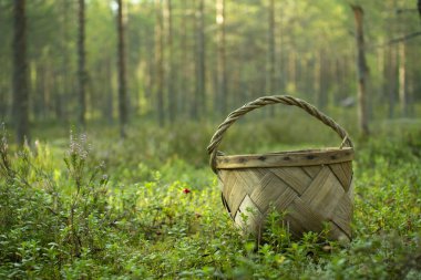 Mantar ve çilek toplamak için Sepet.